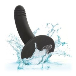 CALEXOTICS - BOUNDLESS DILDO 15.25 CM COMPATIBLE CON ARNES