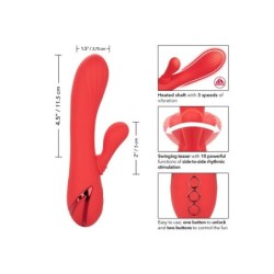 CALEXOTICS - PALISADES PASSION RED