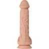 BAILE - BEAUTIFUL ENCOUNTER BERGRISI DILDO REALISTICO FLEXIBLE 26 CM NATURAL