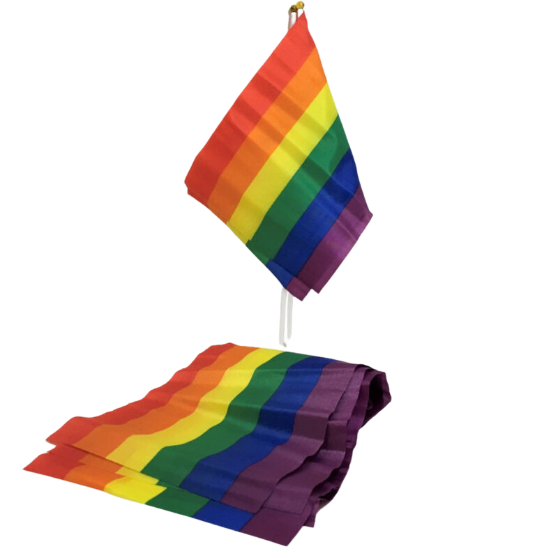 PRIDE - BANDERIN PEQUEÃ‘O BANDERA LGBT