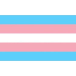 PRIDE - BANDERA 90 X 150 TRANSEXUAL