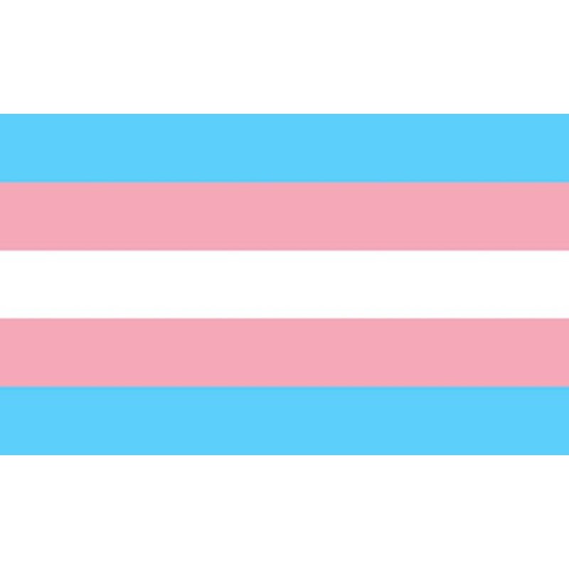 PRIDE - BANDERA 90 X 150 TRANSEXUAL