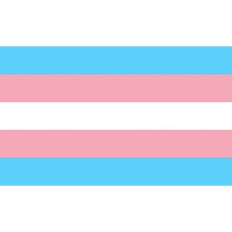 PRIDE - BANDERA 90 X 150 TRANSEXUAL